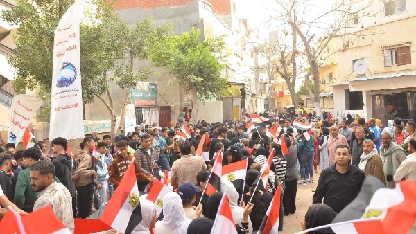 لجان الإسكندرية