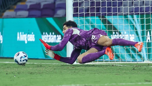 مصطفي شوبير 