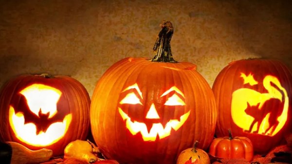 بمناسبة احتفالات الهالوين.. أسرار علمية وراء مشاعر الرعب 