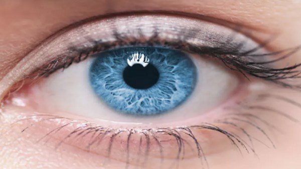 4 فواكه تحمي عينيك من إرهاق الشاشات وأمراض التقدم في العمر 