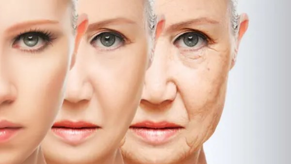 سر العمر الطويل لا يكمن في الجينات فقط.. تعرف على الأطعمة المضادة للشيخوخة سر العمر الطويل لا يكمن في الجينات فقط.. تعرف على الأطعمة المضادة للشيخوخة