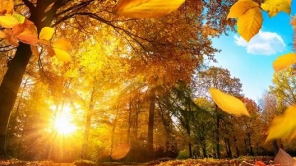 بارد وحار.. تعرف على طقس اليوم الأربعاء 12 نوفمبر 2025