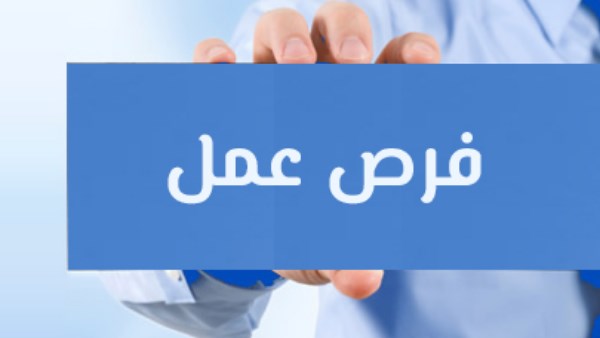 وزارة العمل تعلن عن 185 فرصة عمل بمحافظة السويس| التخصصات وشروط التقديم 