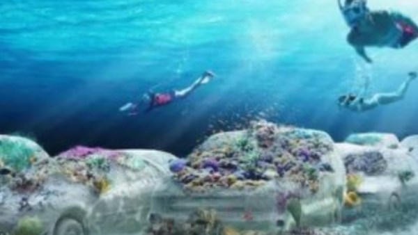 ميامي الأمريكية تستعد لإطلاق مشروع بيئي وفني غير مسبوق| تفاصيل