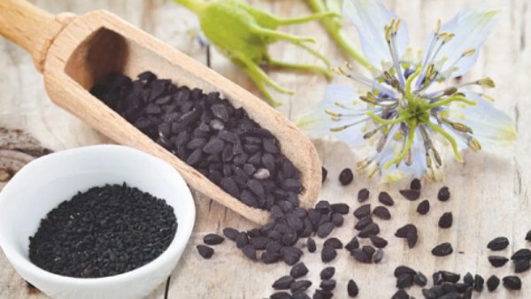 أهم فوائد الحبة السوداء للجسم.. والكميات الكافية للاستفادة منها