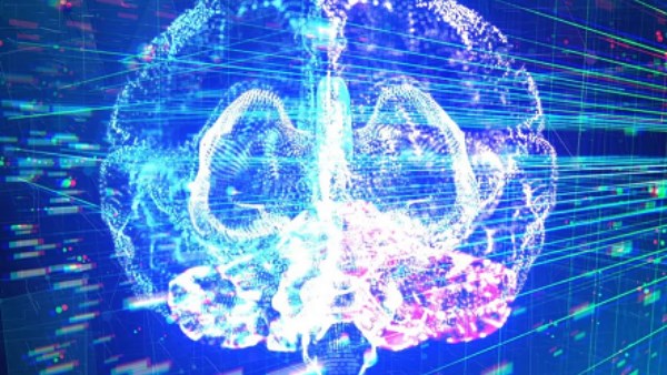  بعد سن خمسين.. تعرف على طرق تنشيط الدماغ والذاكرة