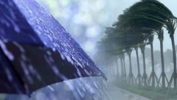 فلكيًا .. متى سينتهي فصل الخريف ويفتح فصل الشتاء أبوابه؟