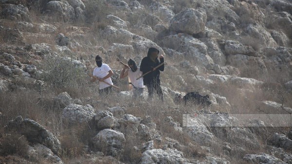 هجمات المستوطنين 