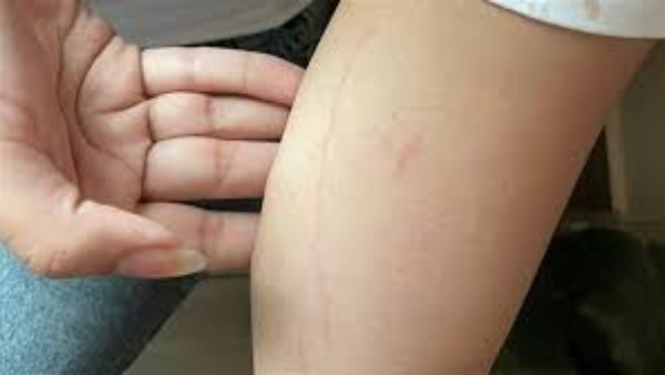 سيدة تحرر محضرا ضد مسئولي مدرسة 