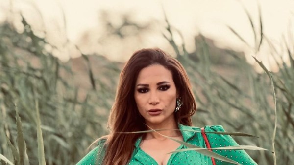 الفنانة غادة طلعت 