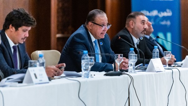 الأستاذ الدكتور هشام عزمي، رئيس مجلس إدارة الجهاز المصري للملكية الفكرية (EGIPA)