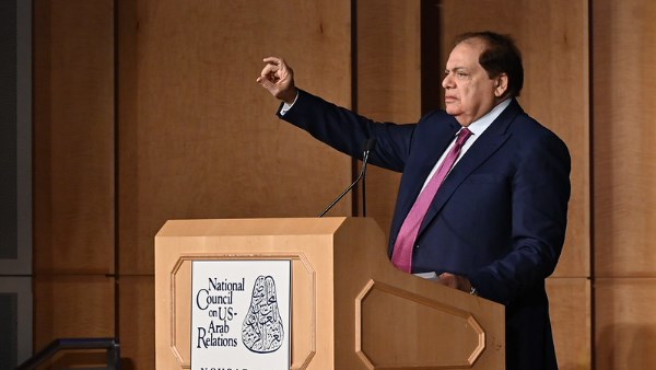 النائب محمد أبو العينين 