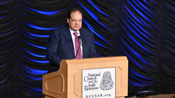 النائب محمد أبو العينين 