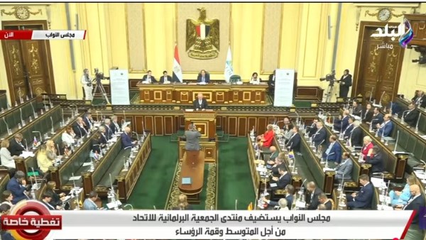 جانب من الجلسة 