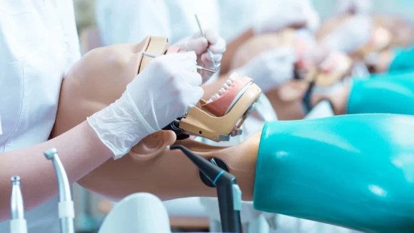  أطباء الأسنان 