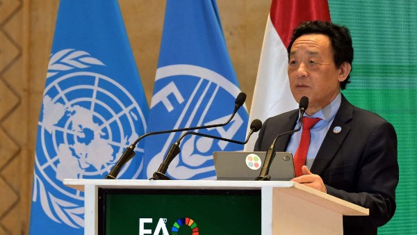 مدير عام الفاو