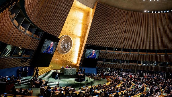 الأمم المتحدة 