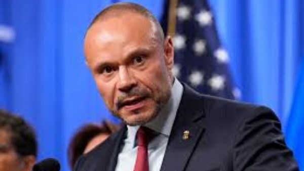 دان بونجينو 