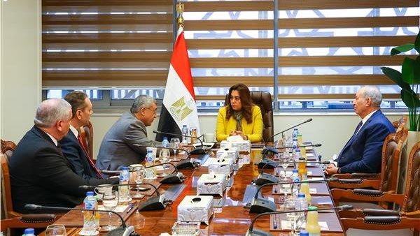 تنسيق بين لجان البرلمان والتنمية المحلية والبيئة لدعم مشروعات الطاقة النظيفة