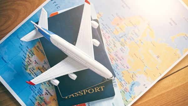 شركات السياحة