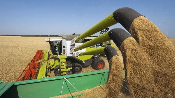 حصاد الزراعة