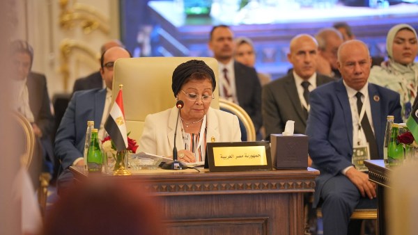 الدكتورة عبلة الألفي