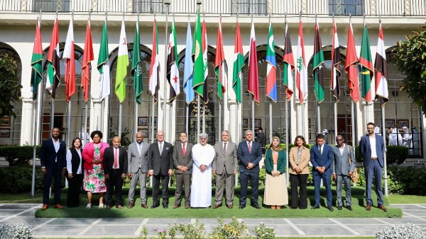 المجلس التنفيذي المؤقت للمعهد الثقافي العربي الإفريقي