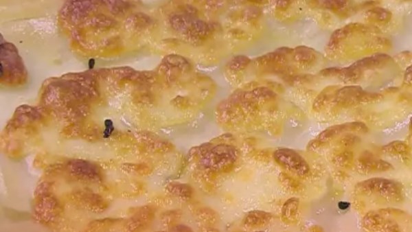 طريقة عمل جلاش بالسبانخ