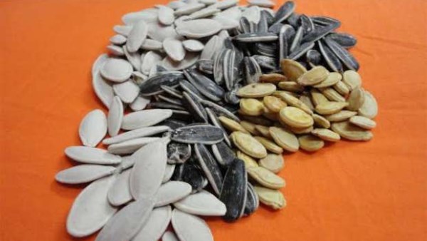 طريقة حساب الحمل.. طبيب يكشف سبب طلاق عرائس بعد أسابيع من الزواج