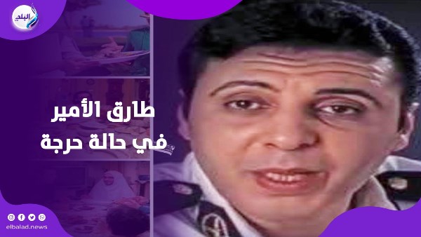 طارق الامير