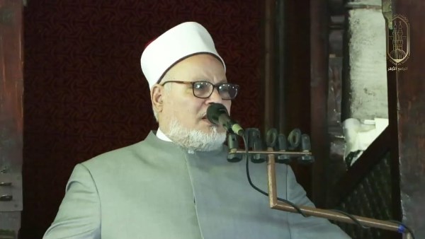 الدكتور إبراهيم الهدهد