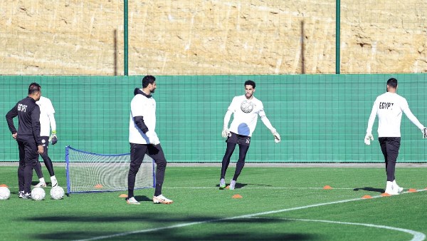 مصطفى شوبير