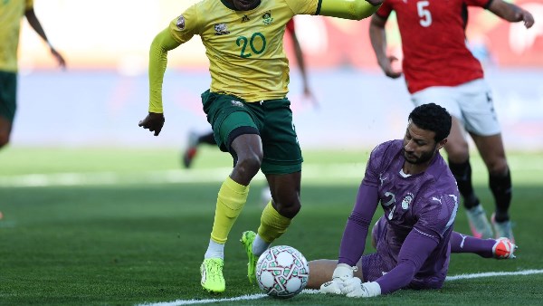 محمد الشناوي