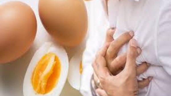 البيض والدهون الثلاثية.. هل يرفعها أم يساعد على خفضها؟  