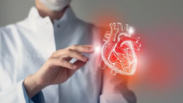 \ مع التقدم فى العمر ..كيف تحافظ على صحة قلبك؟