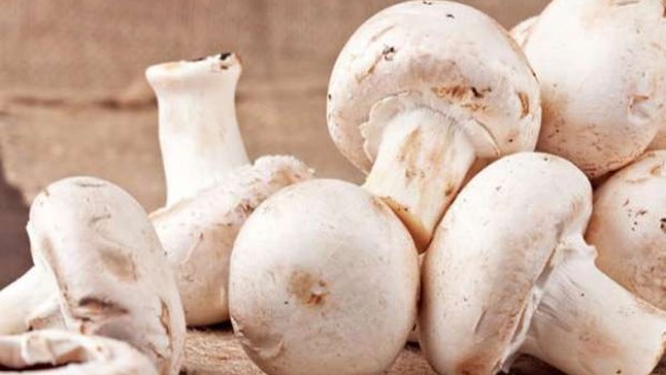 المشروم .. فوائد غذائية تفوق التوقعات