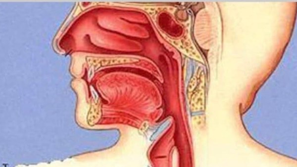 كيفية التخلص من البلغم في الحلق