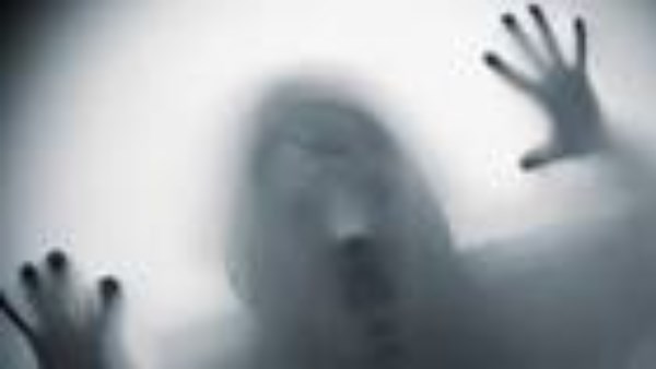 هل كل إنسان له قرين