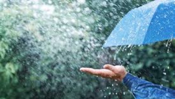 حكم إسناد سبب نزول المطر إلى كثرة البحار والأنواء.. الإفتاء تجيب