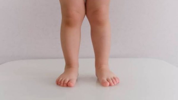 نشرة المرأة والمنوعات | أعراض مرض الكساح وعلاقته بفيتامين شهير.. طعام يحمي من السرطان والسكري والضغط نشرة المرأة والمنوعات | أعراض مرض الكساح وعلاقته بفيتامين شهير.. طعام يحمي من السرطان والسكري والضغط