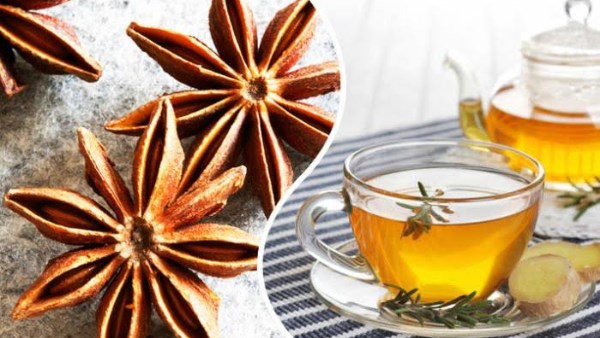 فوائد شرب اليانسون يوميا