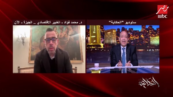 الخبير الاقتصادي محمد فؤاد