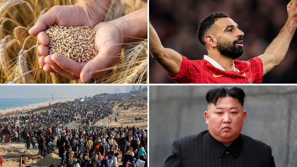 أخبار التوك شو