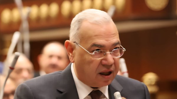 النائب الدكتور عصام خليل