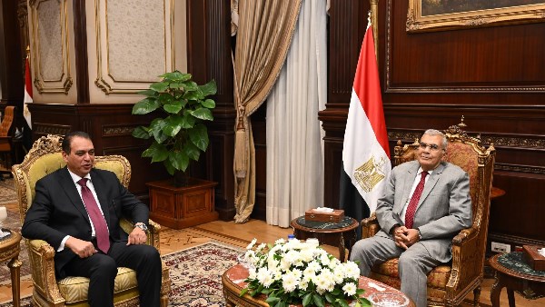 المستشار عصام فريد، رئيس مجلس الشيوخ