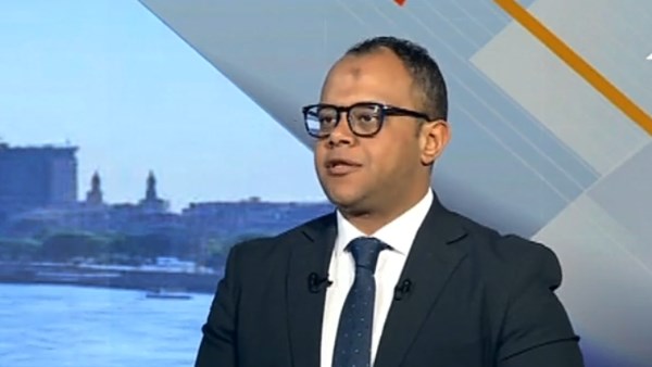 الخبير الاقتصادي حسام عيد 