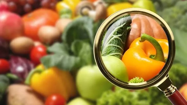 سلامة الغذاء: الشائعات عن السلع تستهدف هز ثقة المستهلك وضرب الاقتصاد سلامة الغذاء: الشائعات عن السلع تستهدف هز ثقة المستهلك وضرب الاقتصاد