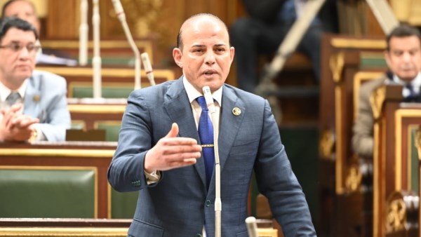  النائب والمرشح لمجلس النواب 2025، عمرو القطامي