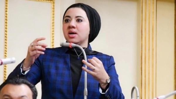 نائبة تعترض على تعديل بعض أحكام قانون الكهرباء وتؤكد: العدالة العقابية أهم من التغليظ وحده