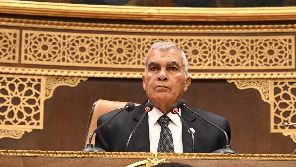  المستشار عصام الدين فريد، رئيس مجلس الشيوخ